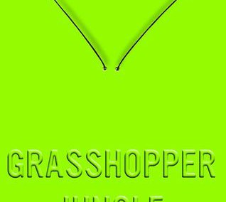 Grasshopper Jungle by Andrew Smith