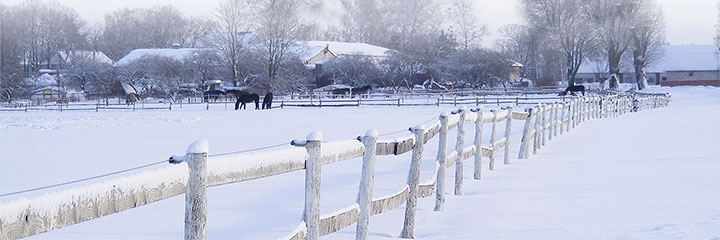 “Snowed Inn” by Kate Palmer, as enjoyed by librarian Vivian Milius