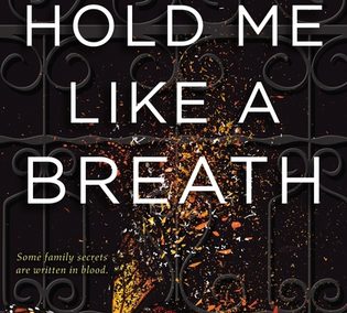 Hold Me Like a Breath by Tiffany Schmidt