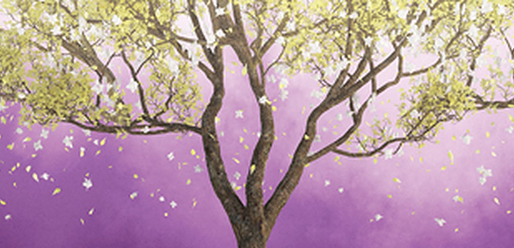 “The Forgetting” by Sharon Cameron