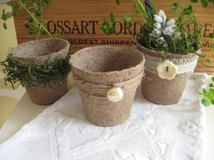 Decorated Peat Pot Plants