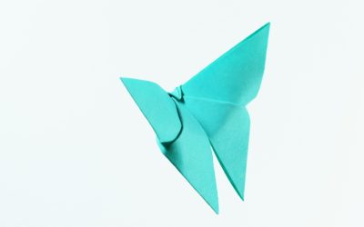 On the Same Page: Just So Origami