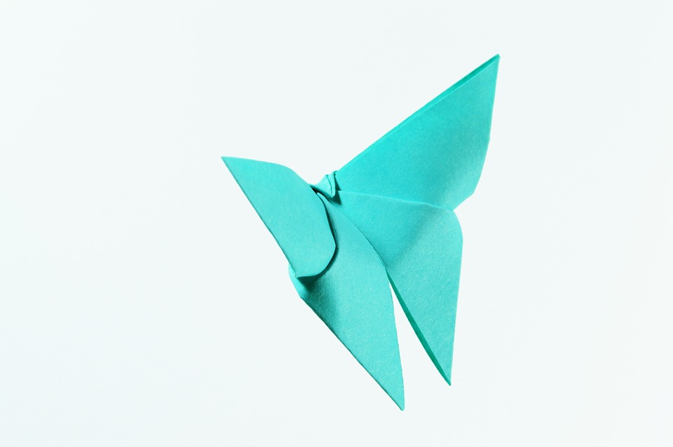 On the Same Page: Just So Origami