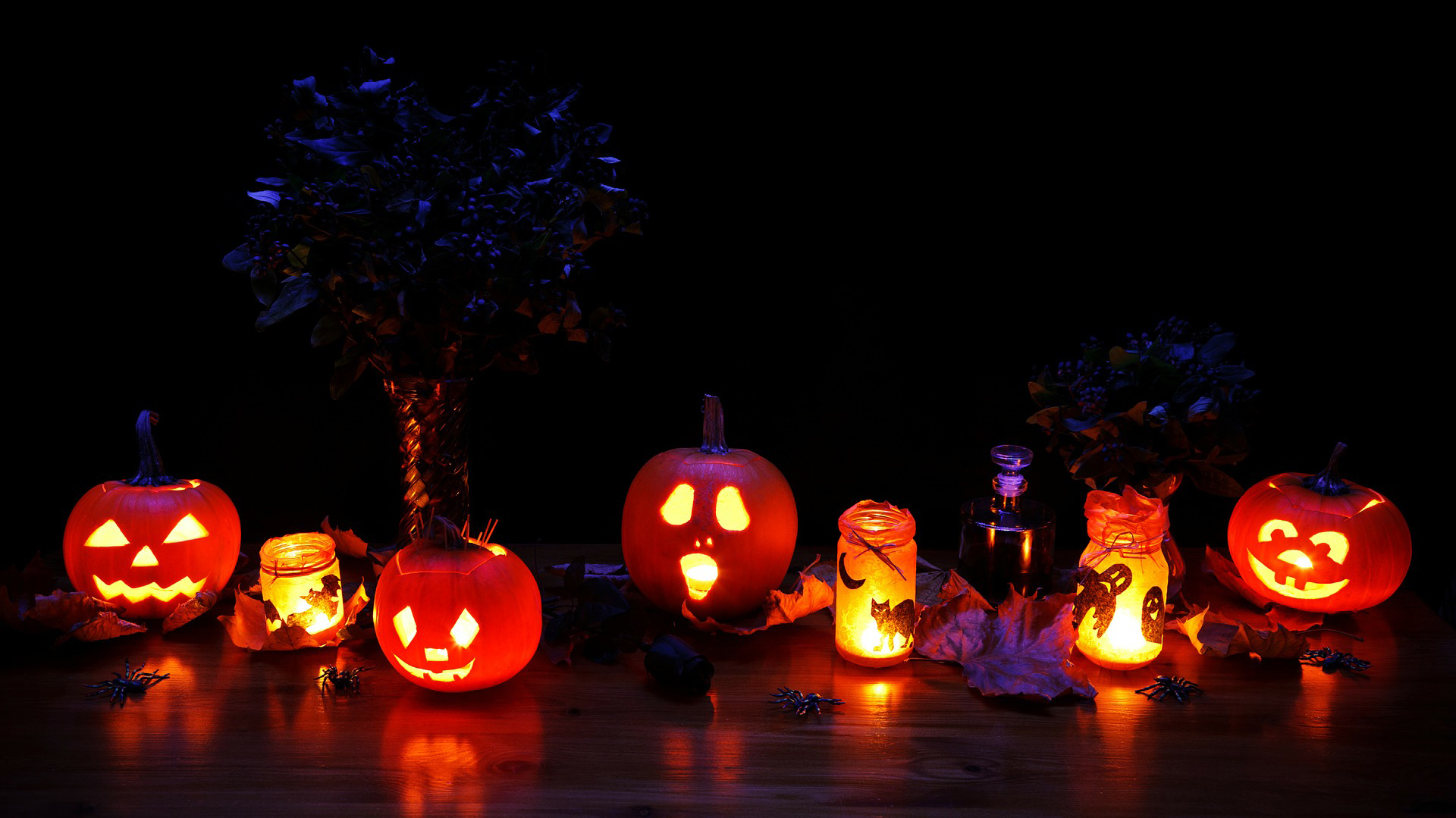 Glowing jack-o-lanterns, candles, and other Halloween decorations.
