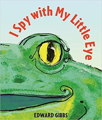 I Spy with My Little Eye by Edward Gibbs