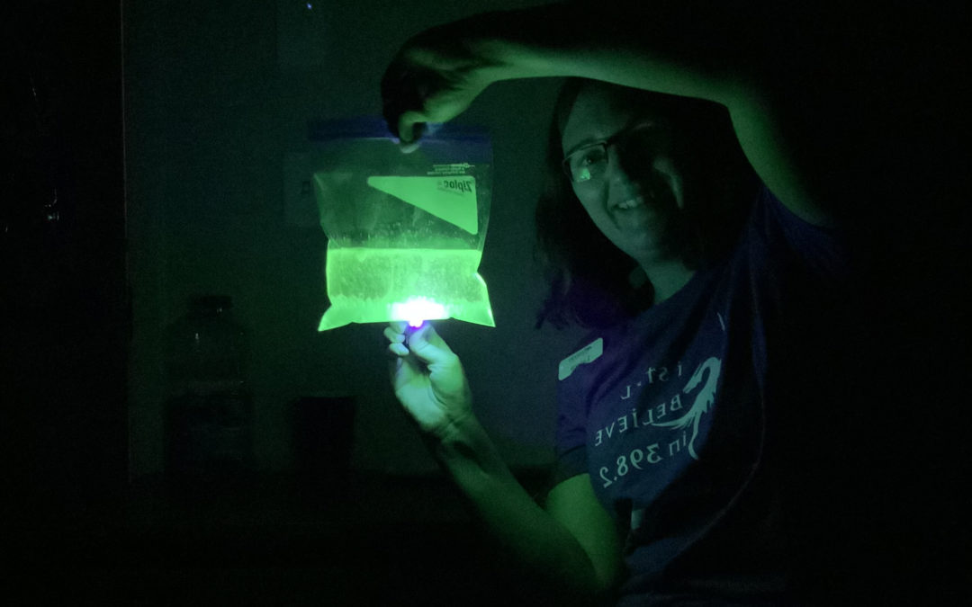 Summer STEM – Cave of Wonders Wishes in the Light – Lava Lamps