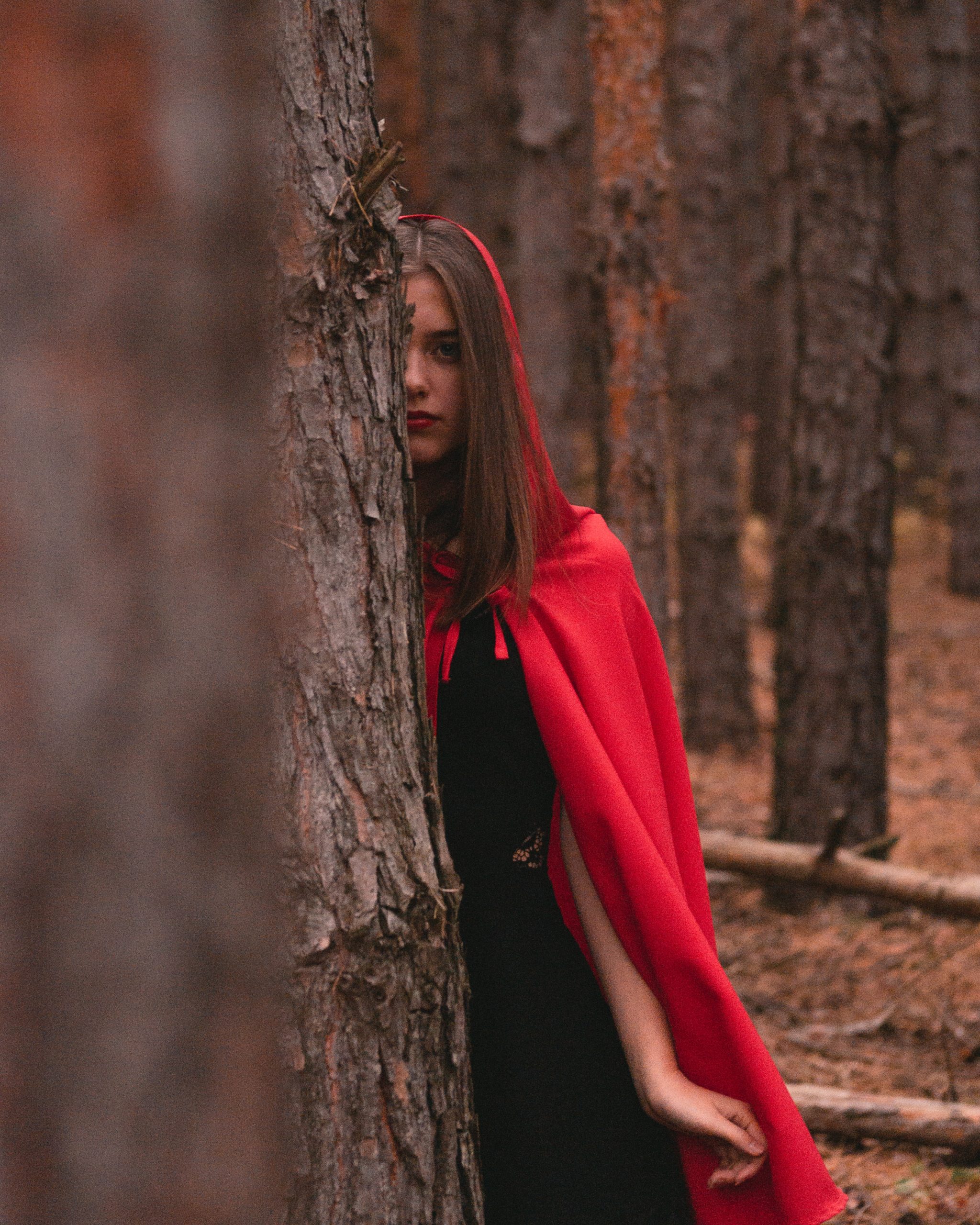 Fractured Fairy Tale First Prize Story: Lost