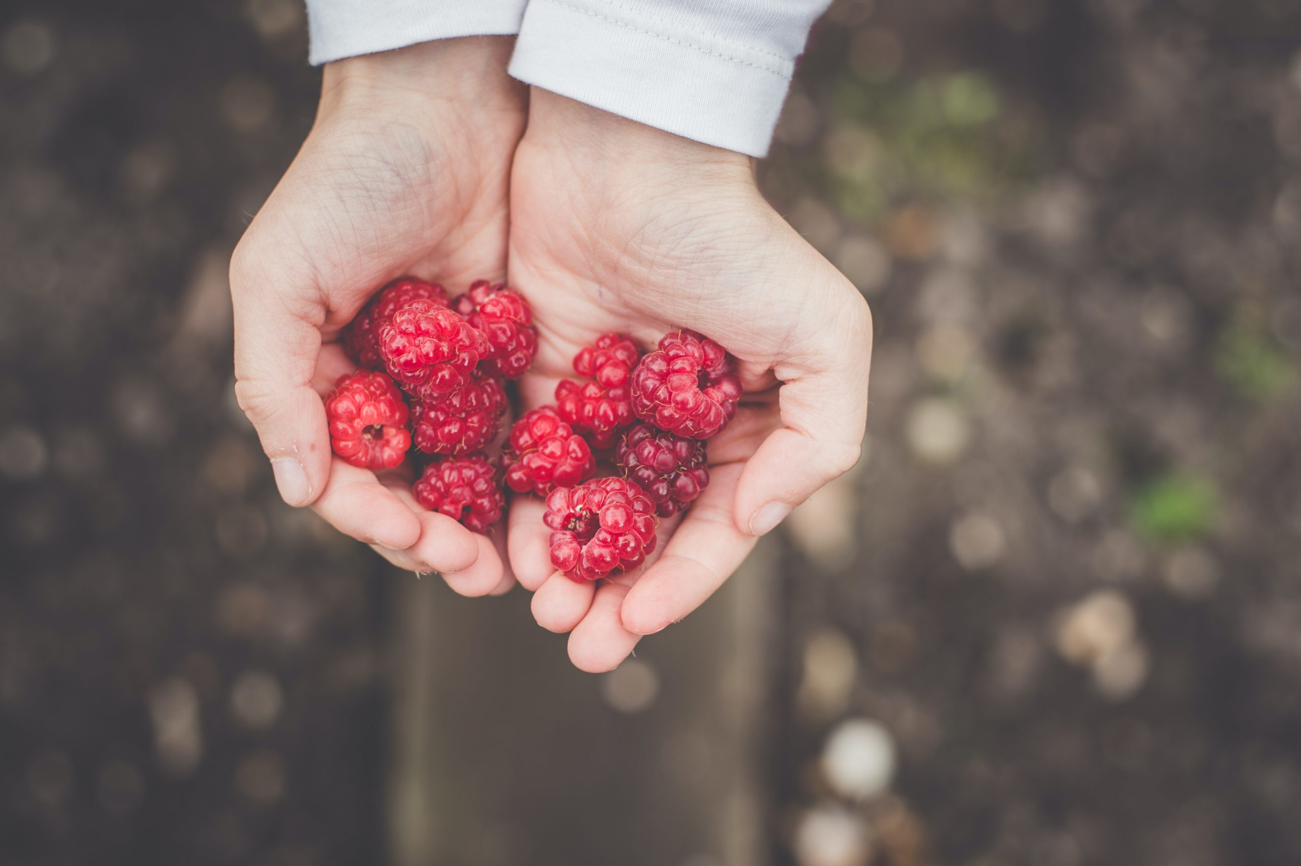 Baby Time – Berry Nice!