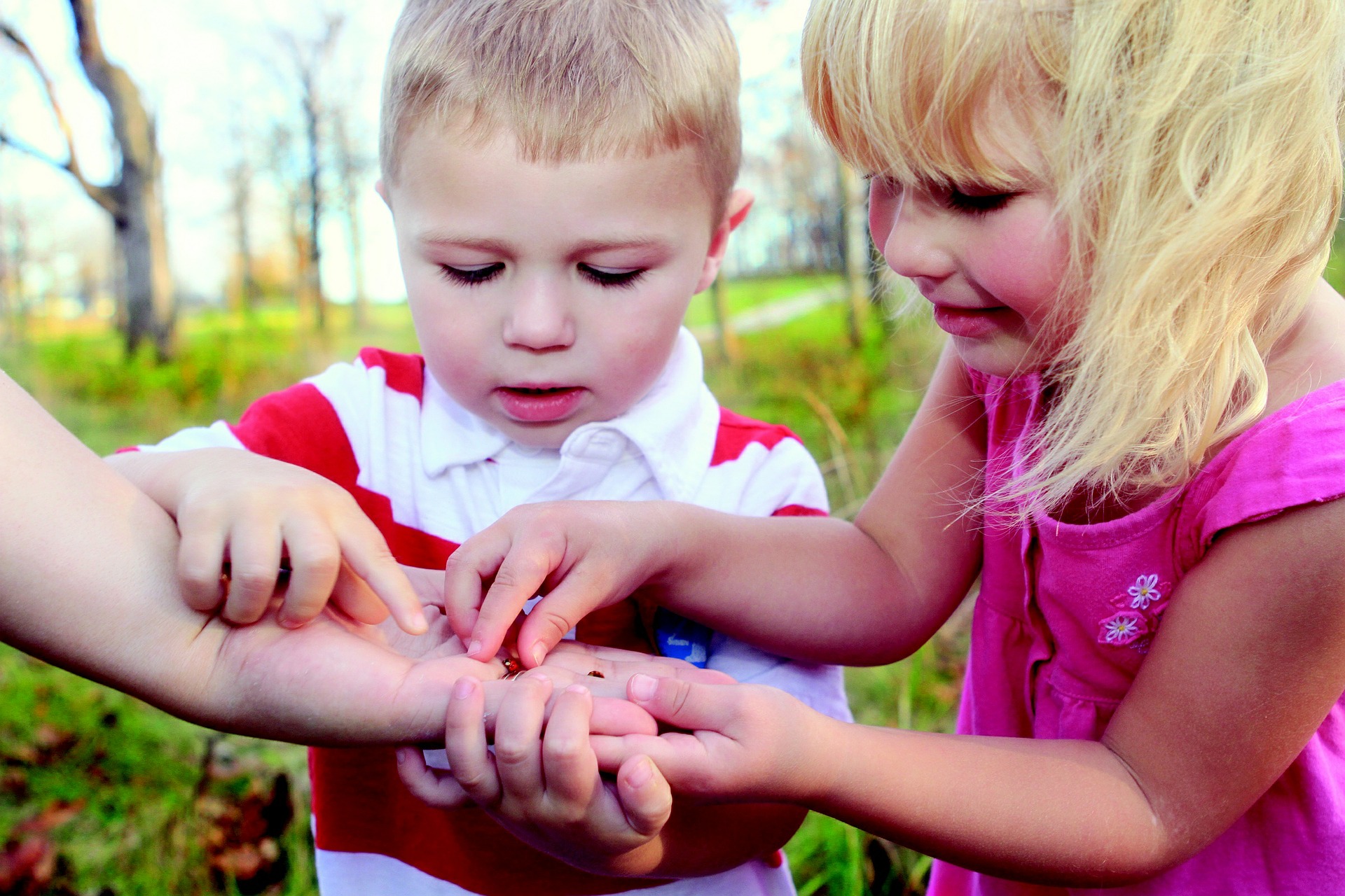 Story Time – Creepy Crawlies
