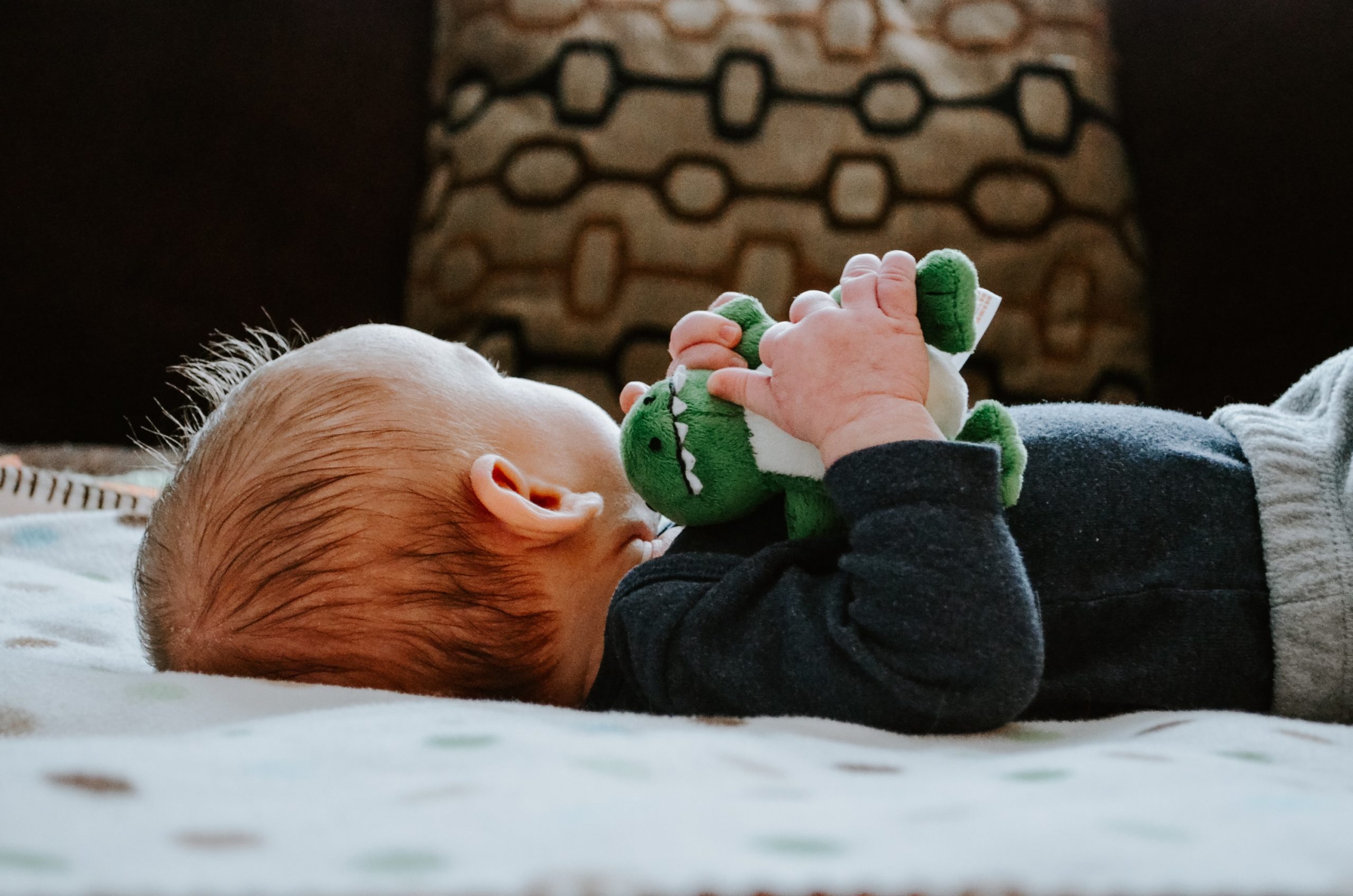 Baby holding a stuffed dinosaur
