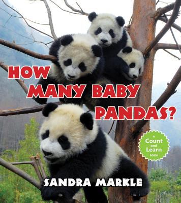 How Many Baby Pandas by Sandra Markle