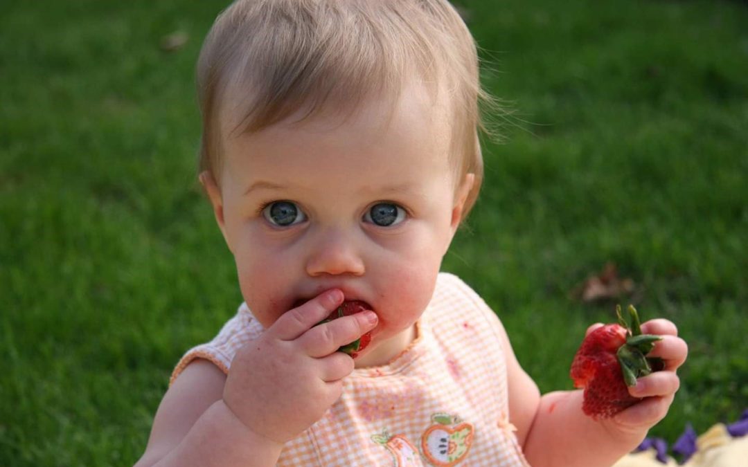 Book Babies: Food