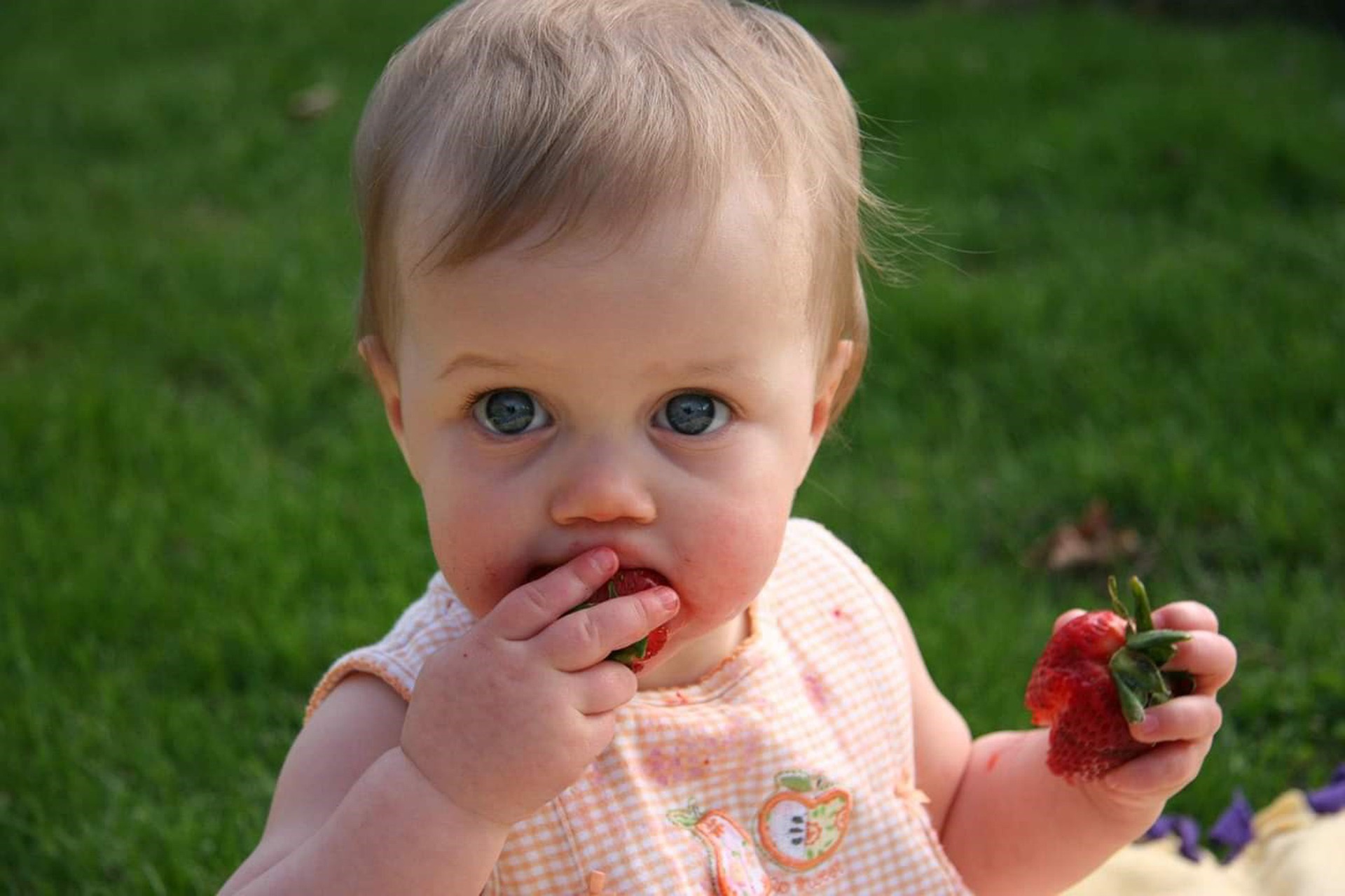 Book Babies: Food
