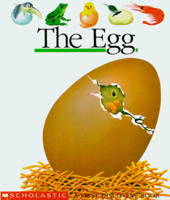 The Egg by Gallimard Jeunesse