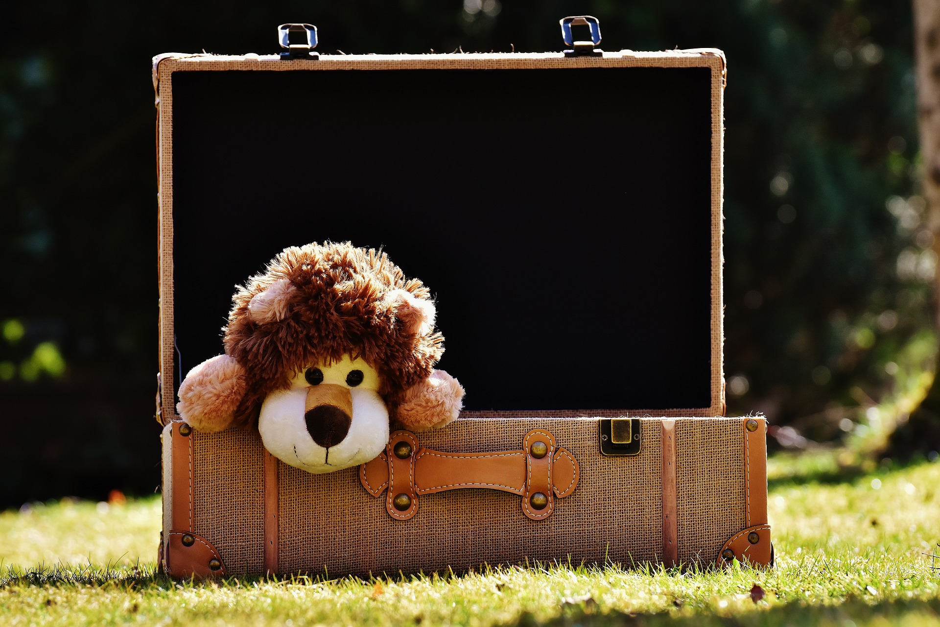 Book Babies: Let’s Go to the Zoo!