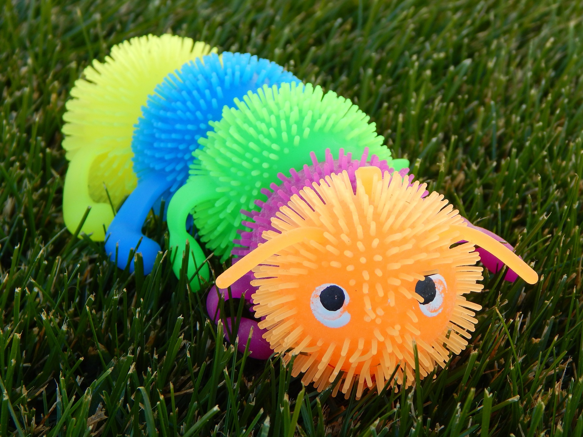 Book Babies: Wiggle Worms