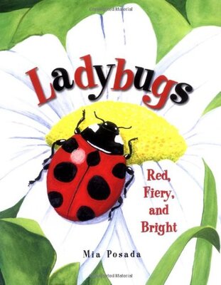 Ladybugs: Red, Fiery, and Bright by Mia Posada Book cover for Ladybugs: Red, Fiery, and Bright by Mia Posada