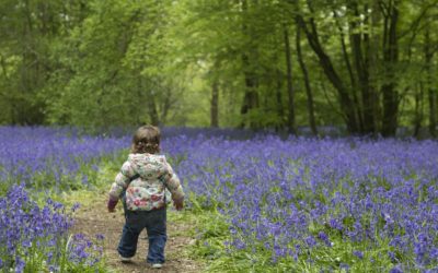 Book Babies: Welcome, Spring!