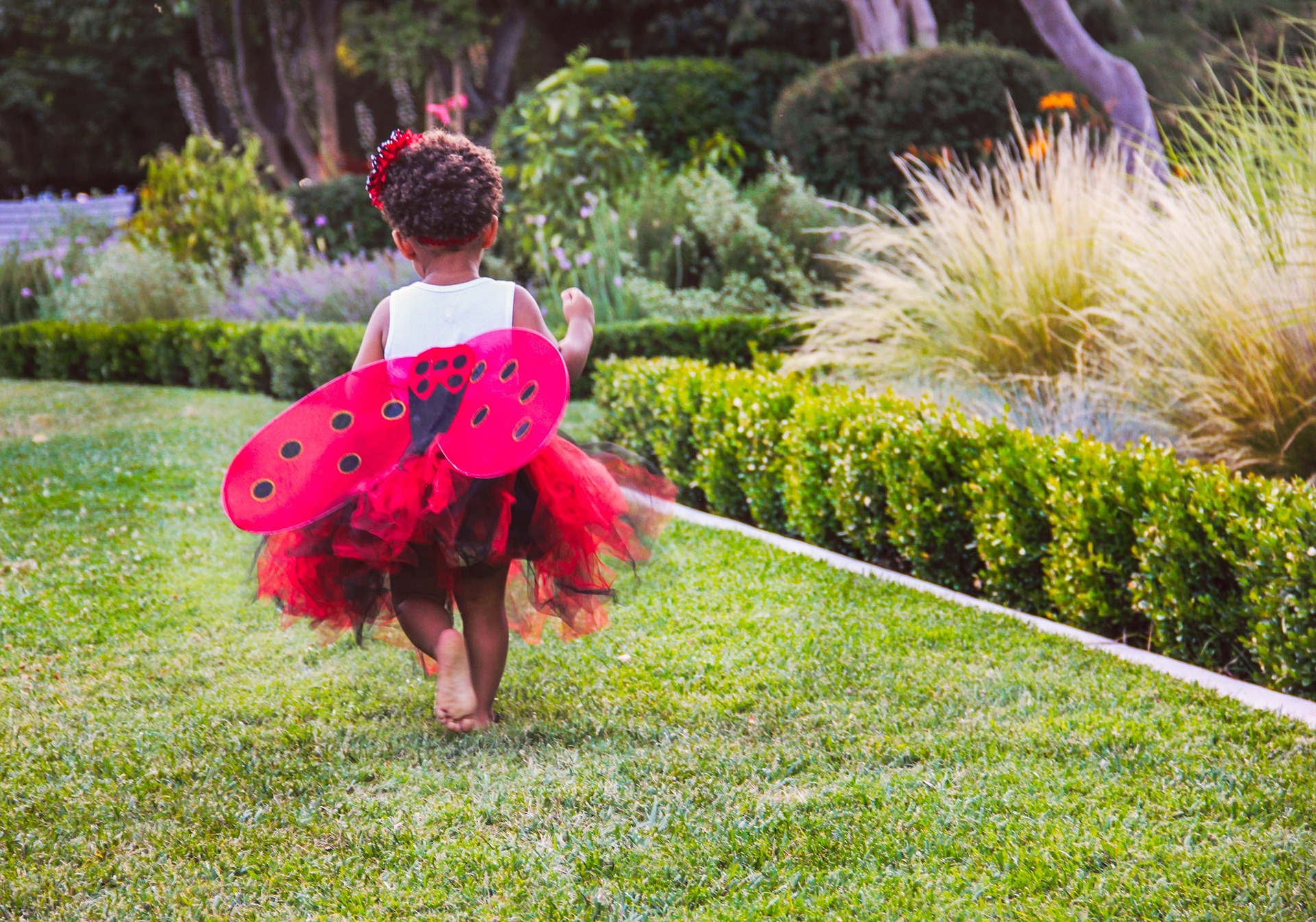 Story Time: Ladybugs