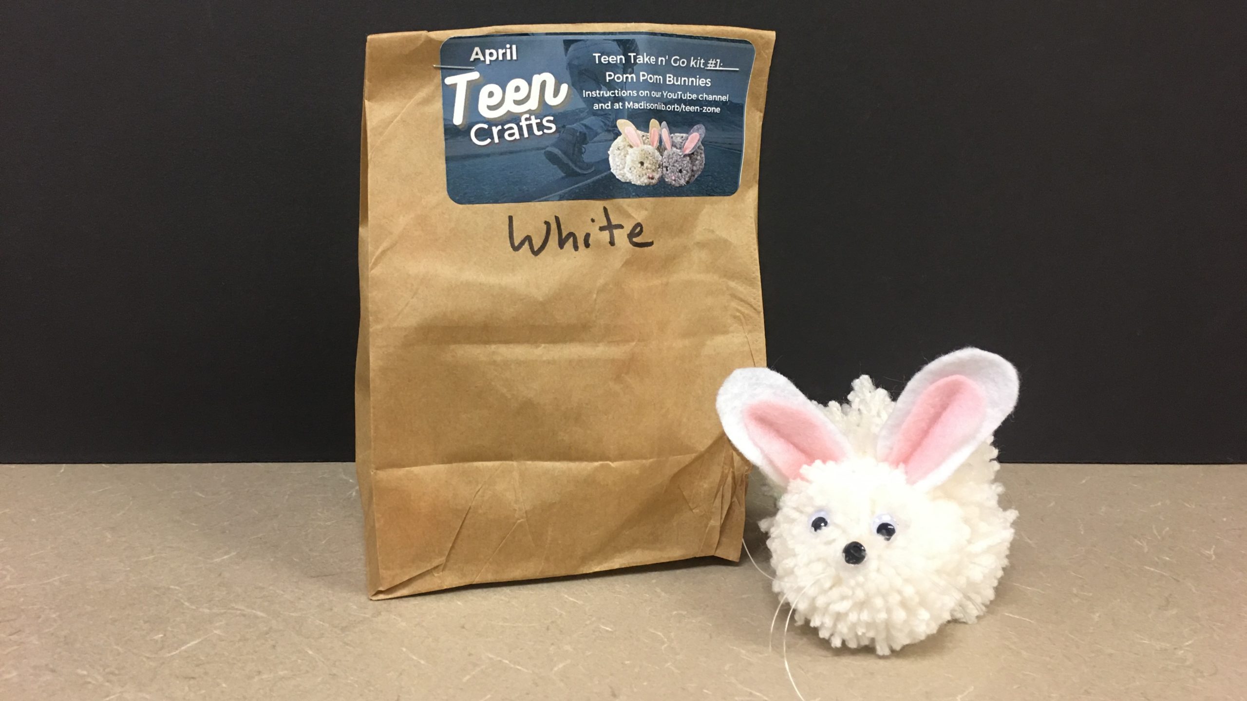 Pom Pom Bunnies Craft