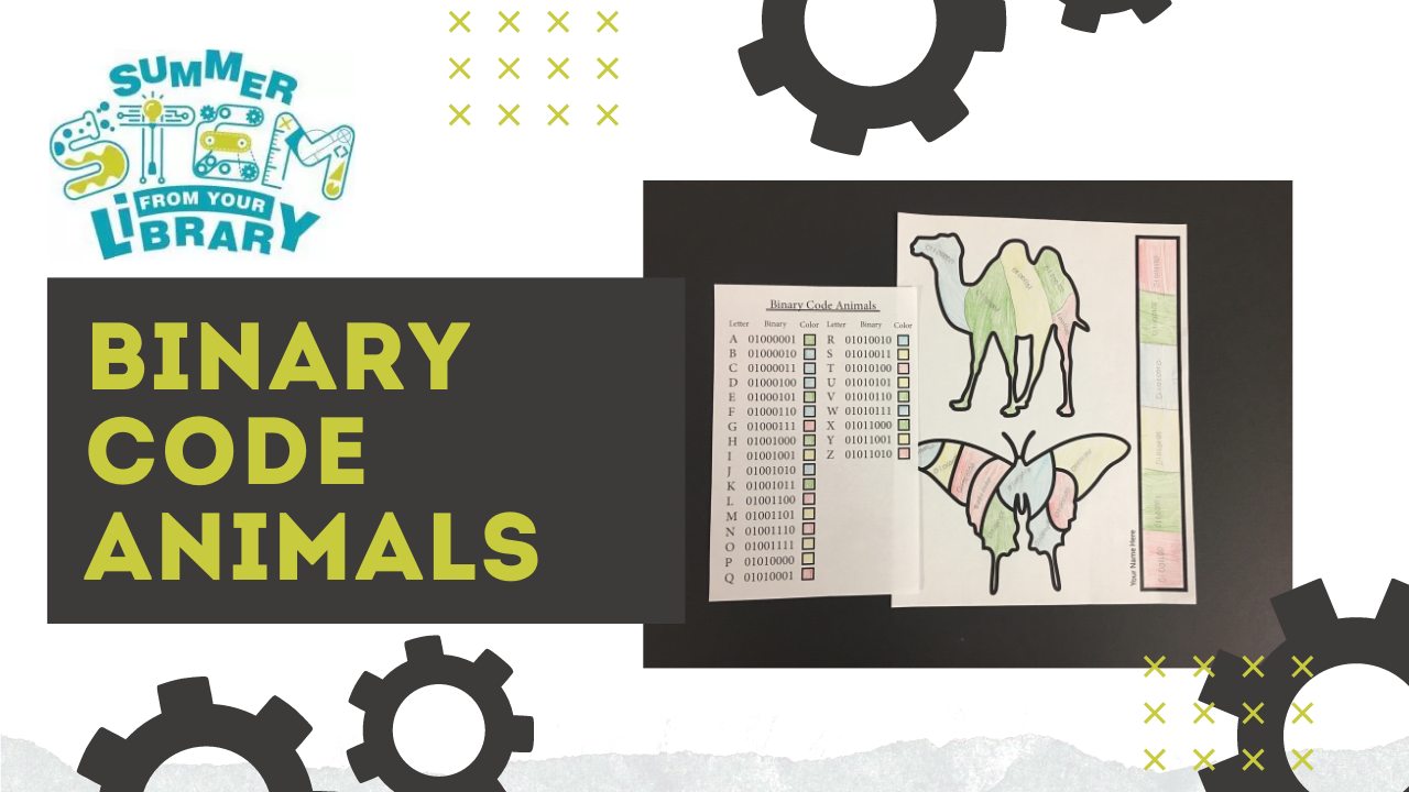 STEM Binary code animals cover