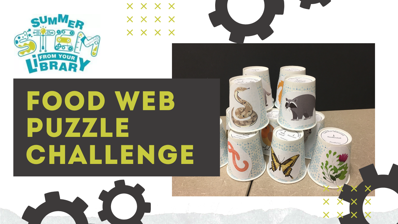 BLOG SUMMER STEM food web puzzle2021