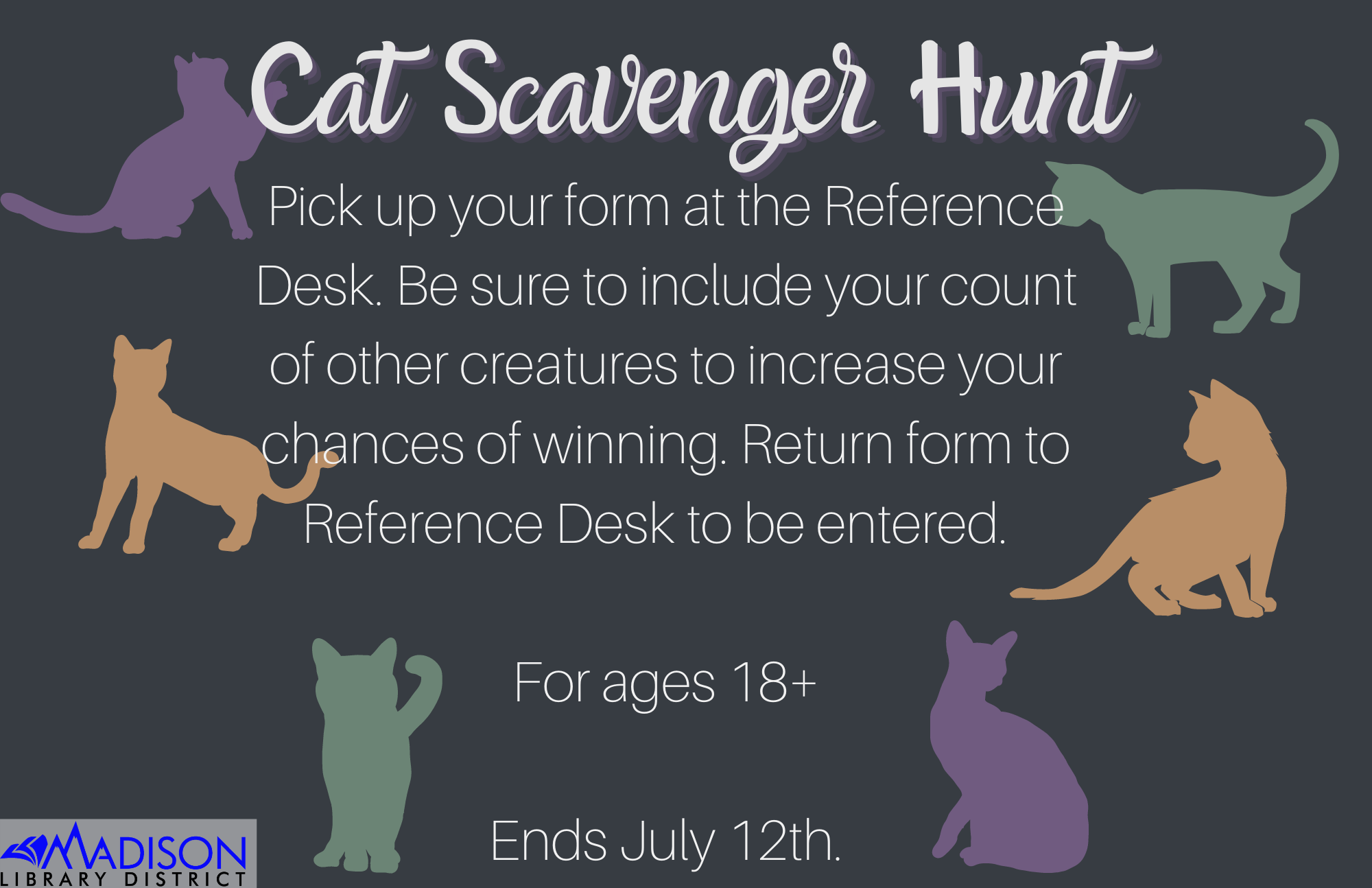 BLOG cat counting SR 2021 (1)