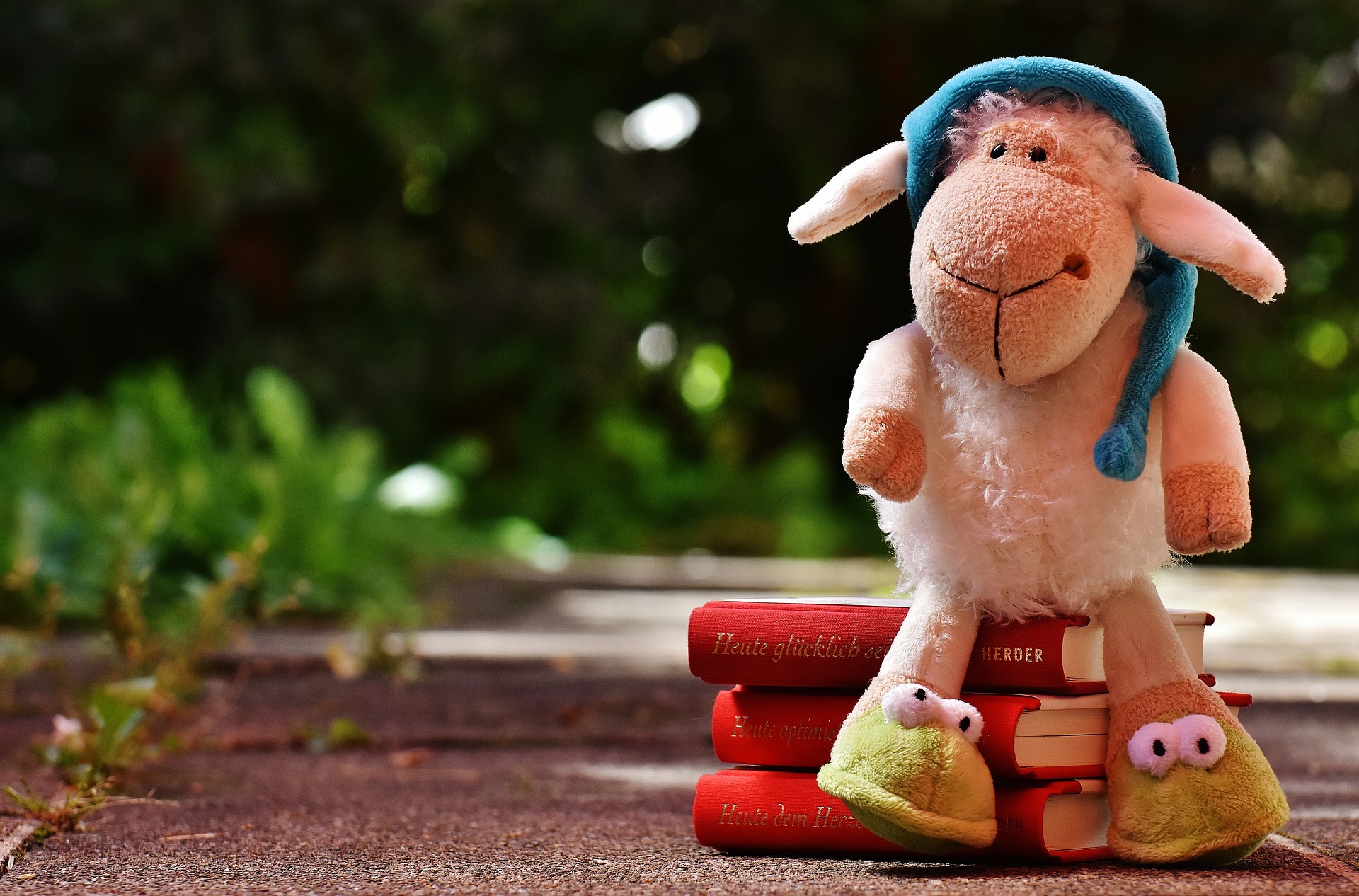 Story Time: The Animal Book Club