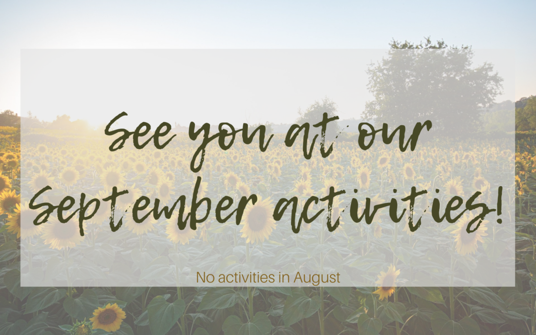 AUGUST Adult Activities