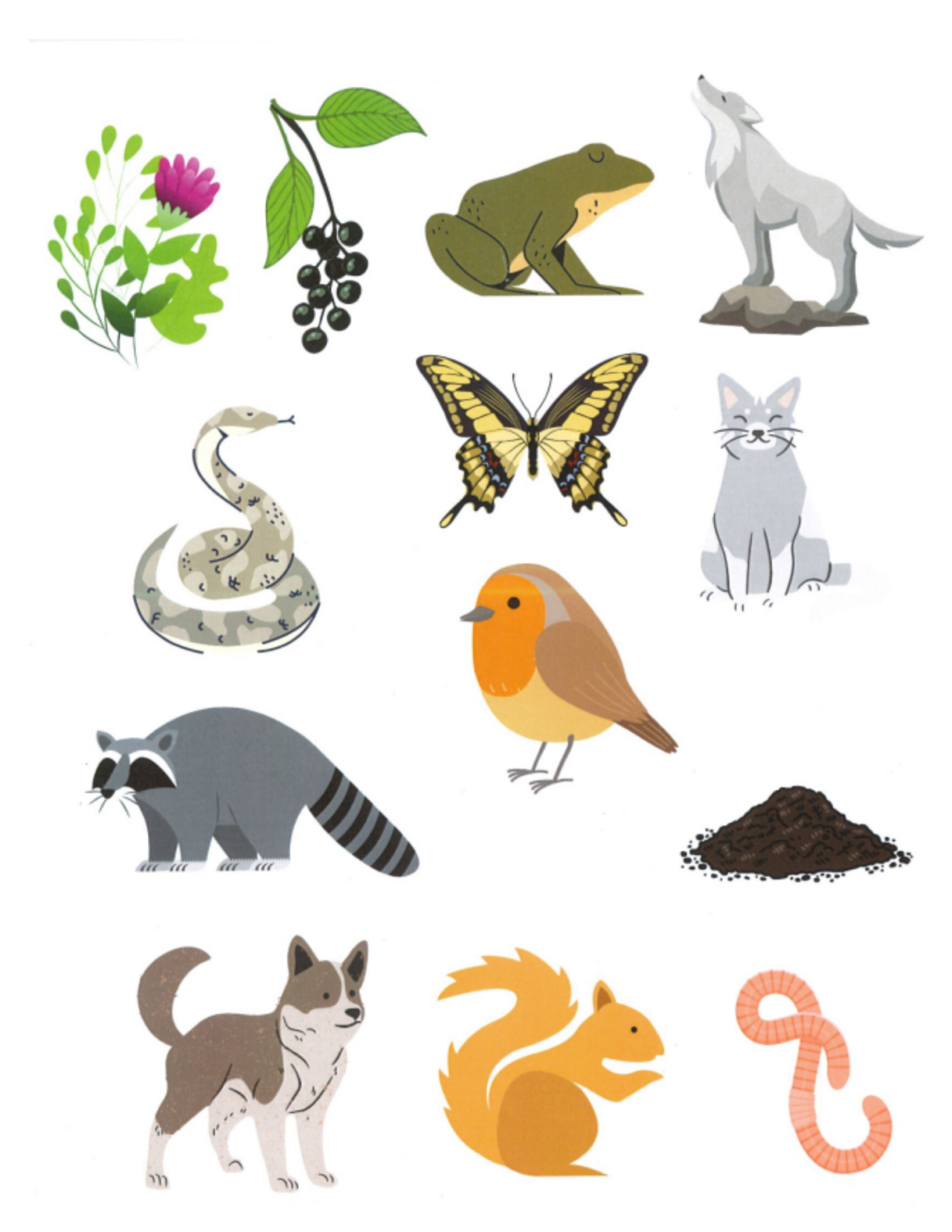 food web stem activity