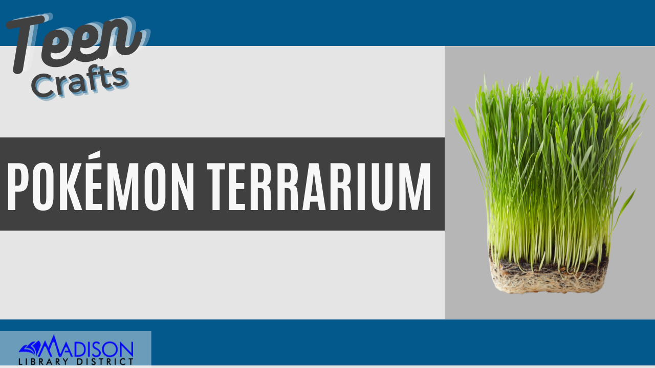Teen Craft: Pokémon Terrarium