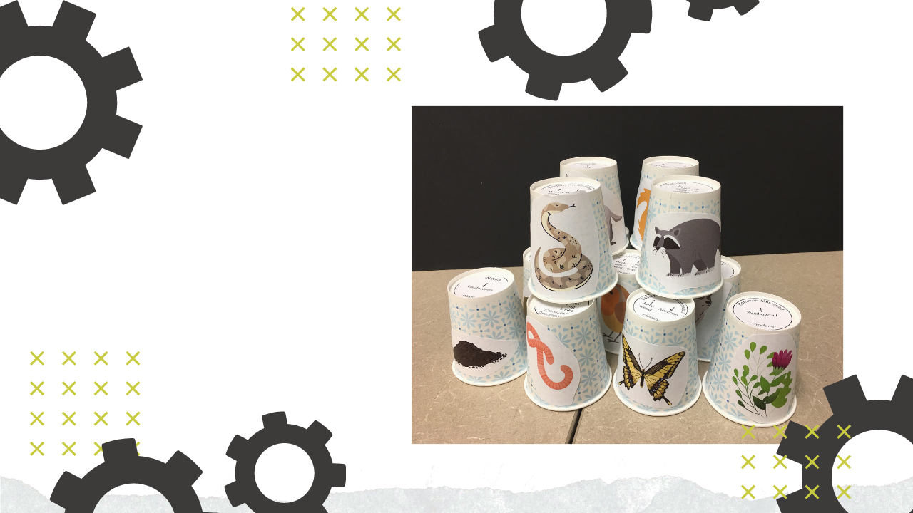 SUMMER STEM: Food Web Puzzle Game