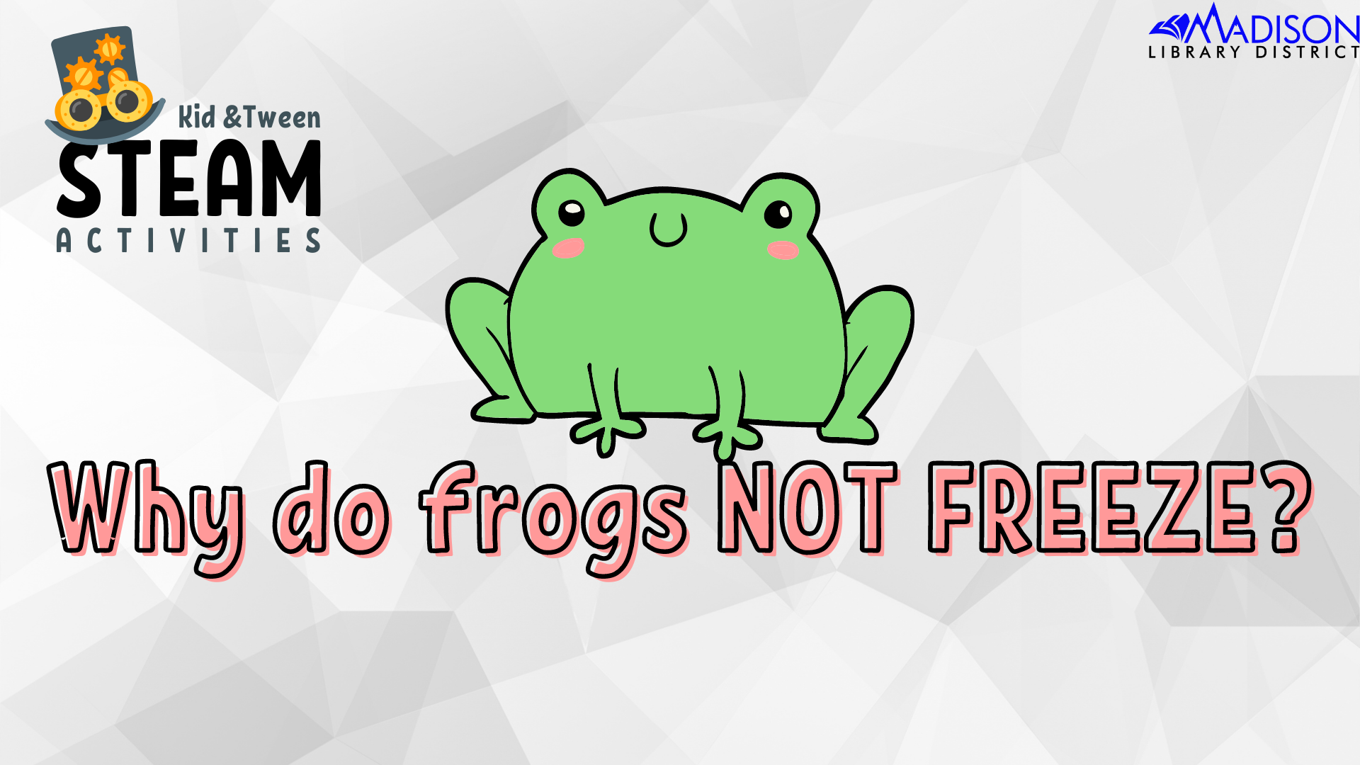Kids + Tween STEAM Craft: Jumping Frogs