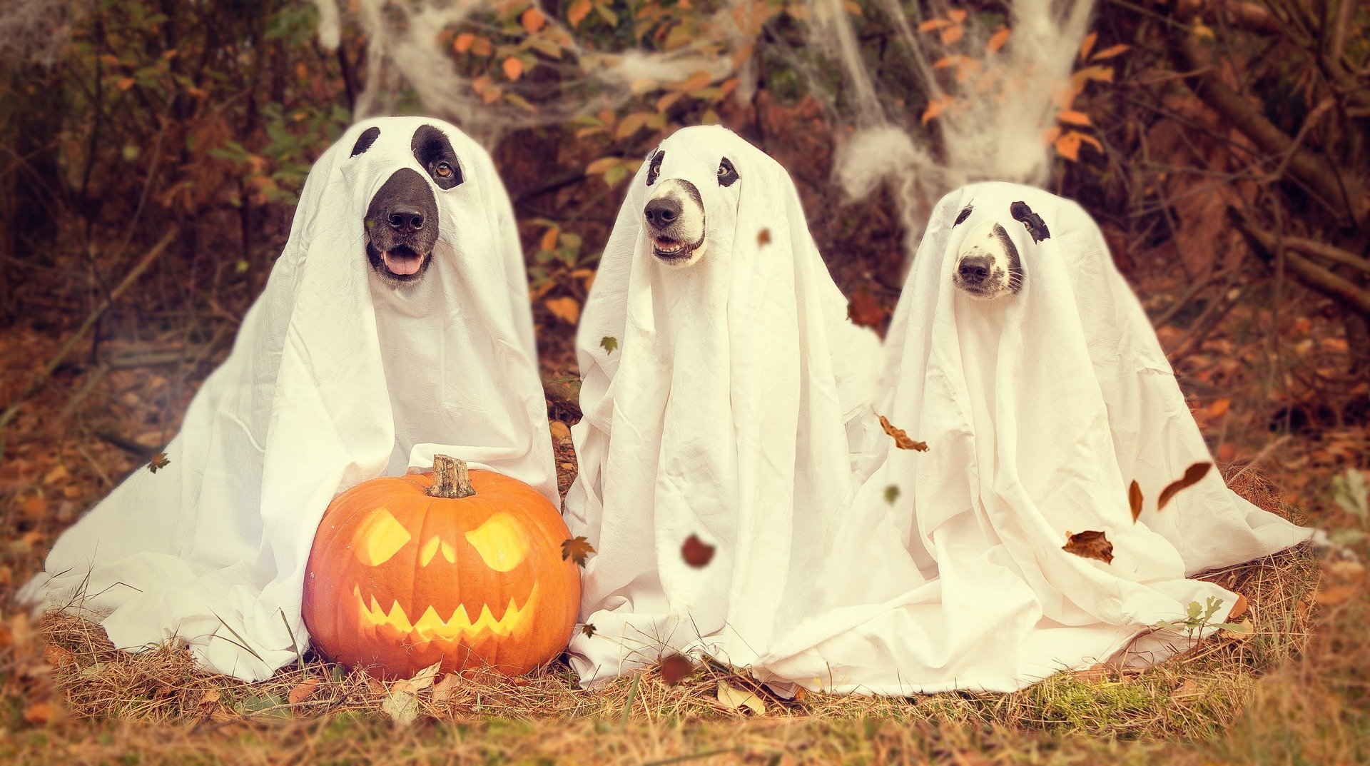 ST halloween