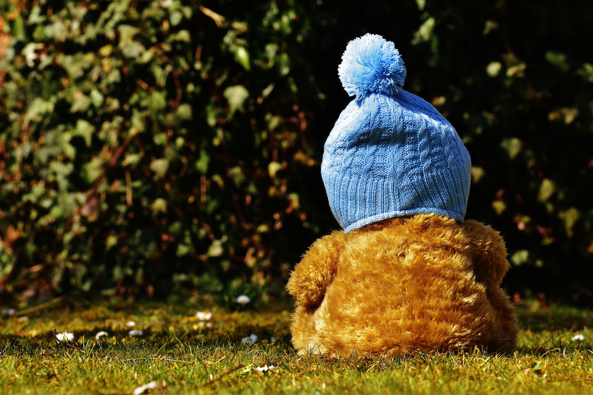 Book Babies + Toddler Time: Hats!