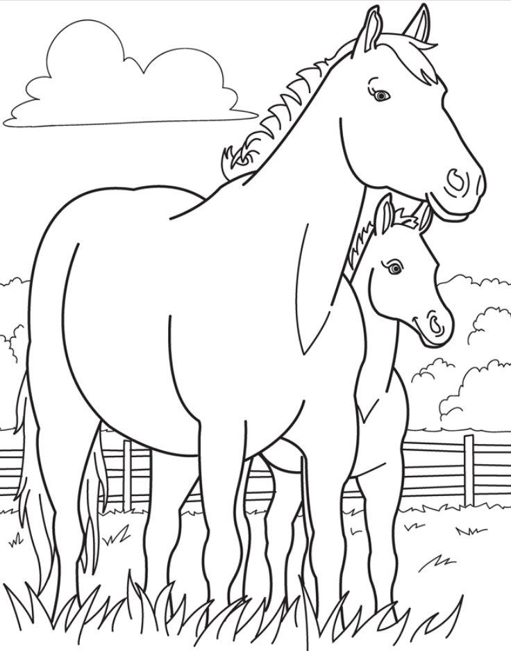 horse coloring page
