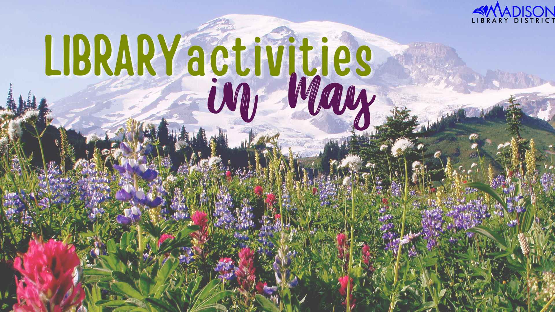MAY Library Activities