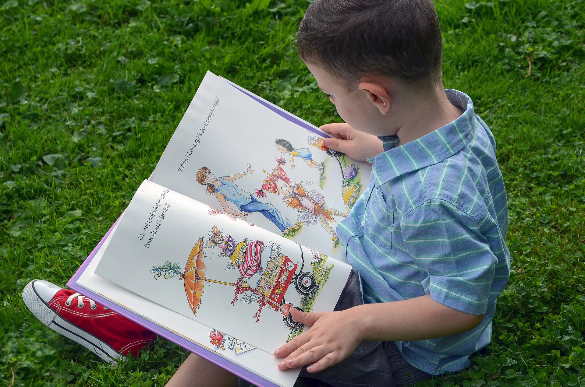 Little boy reading a picture book.