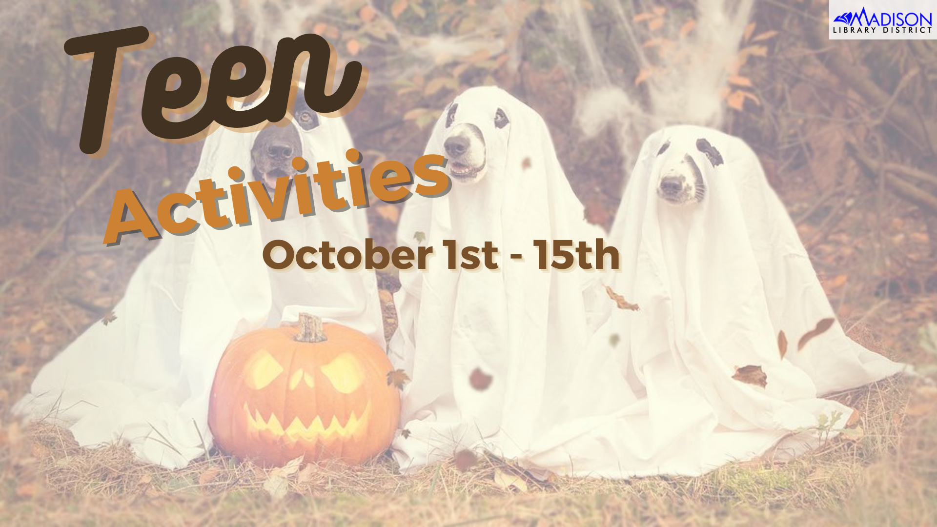 Teen Activities October 1st-15th
