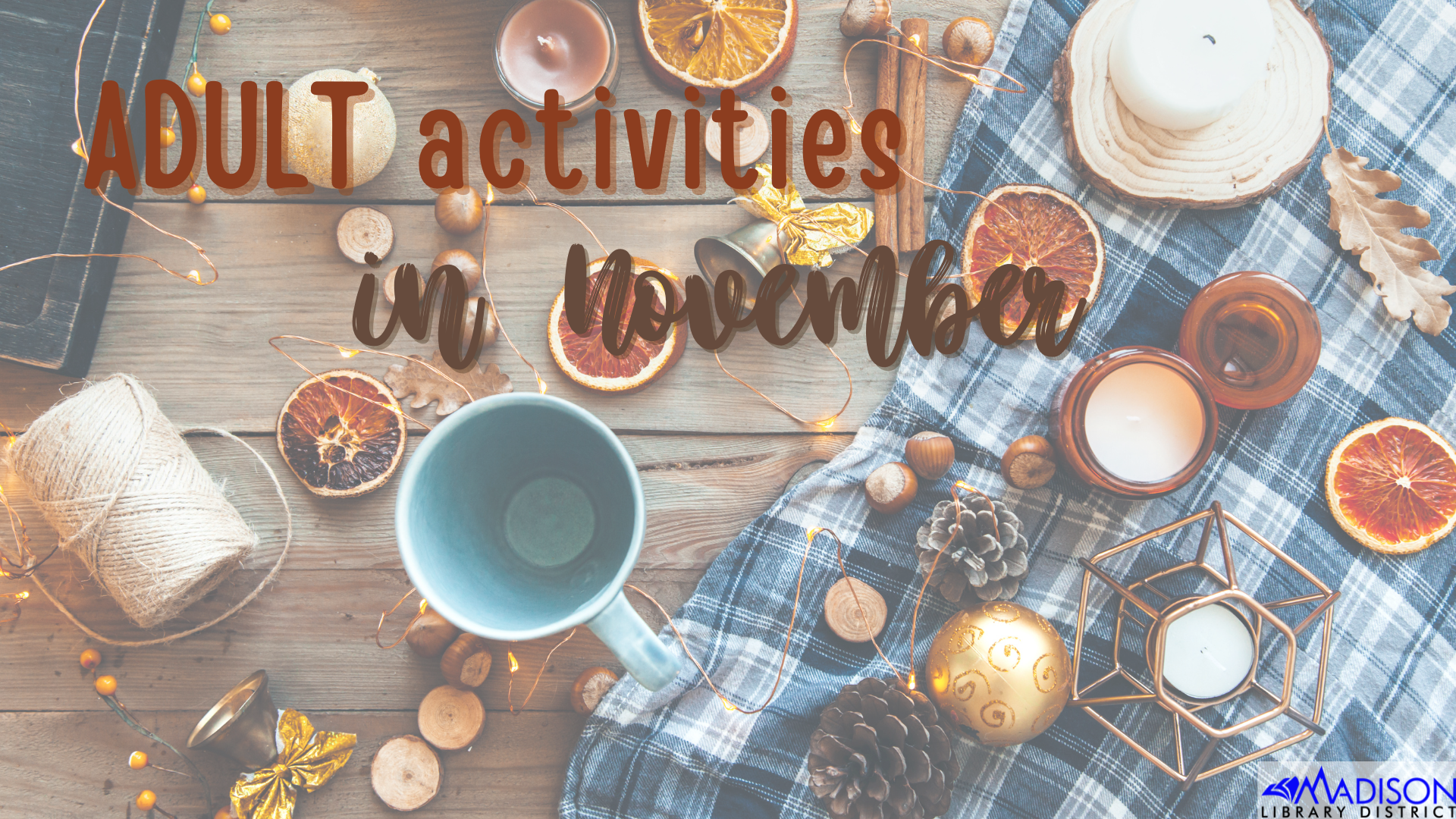 Adult Activities Nov 2022