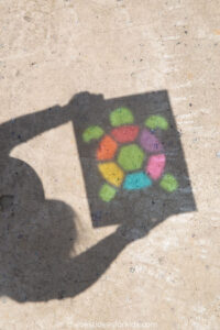 Turtle-Shadow-Art