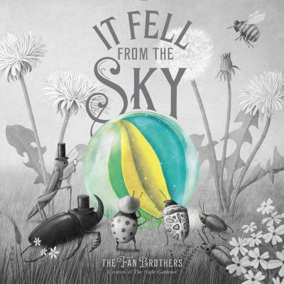 it_fell_from_the_sky