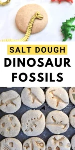 Picture example of Salt Dough Dinosaur Fossils Kids Craft