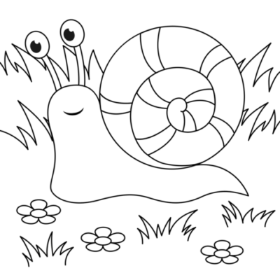 Coloring page of a cute snail in flowers and grass.