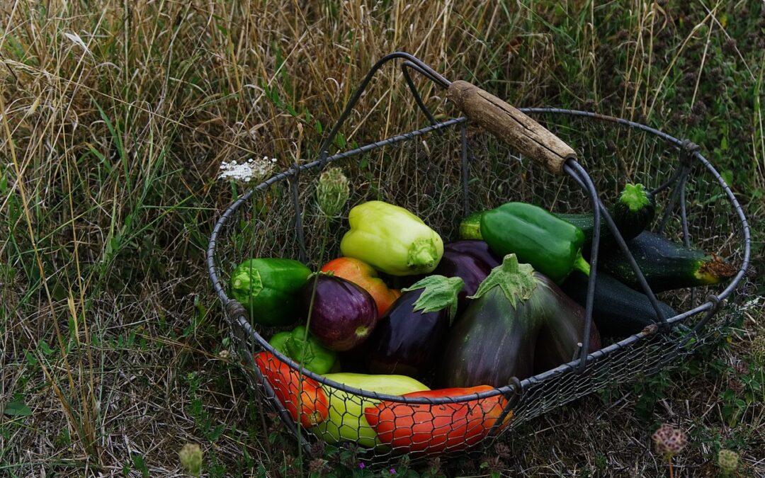 Storytime: V is for Veggies