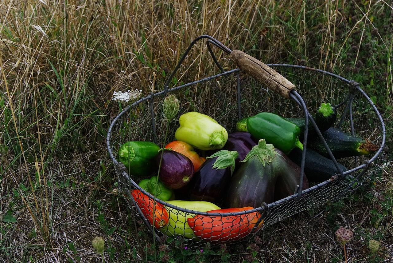 Colorful vegetables resting in a wire mesh basket in the grass.