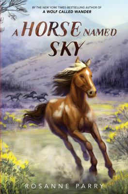 Book cover for A Horse Named Sky by Rosanne Parry