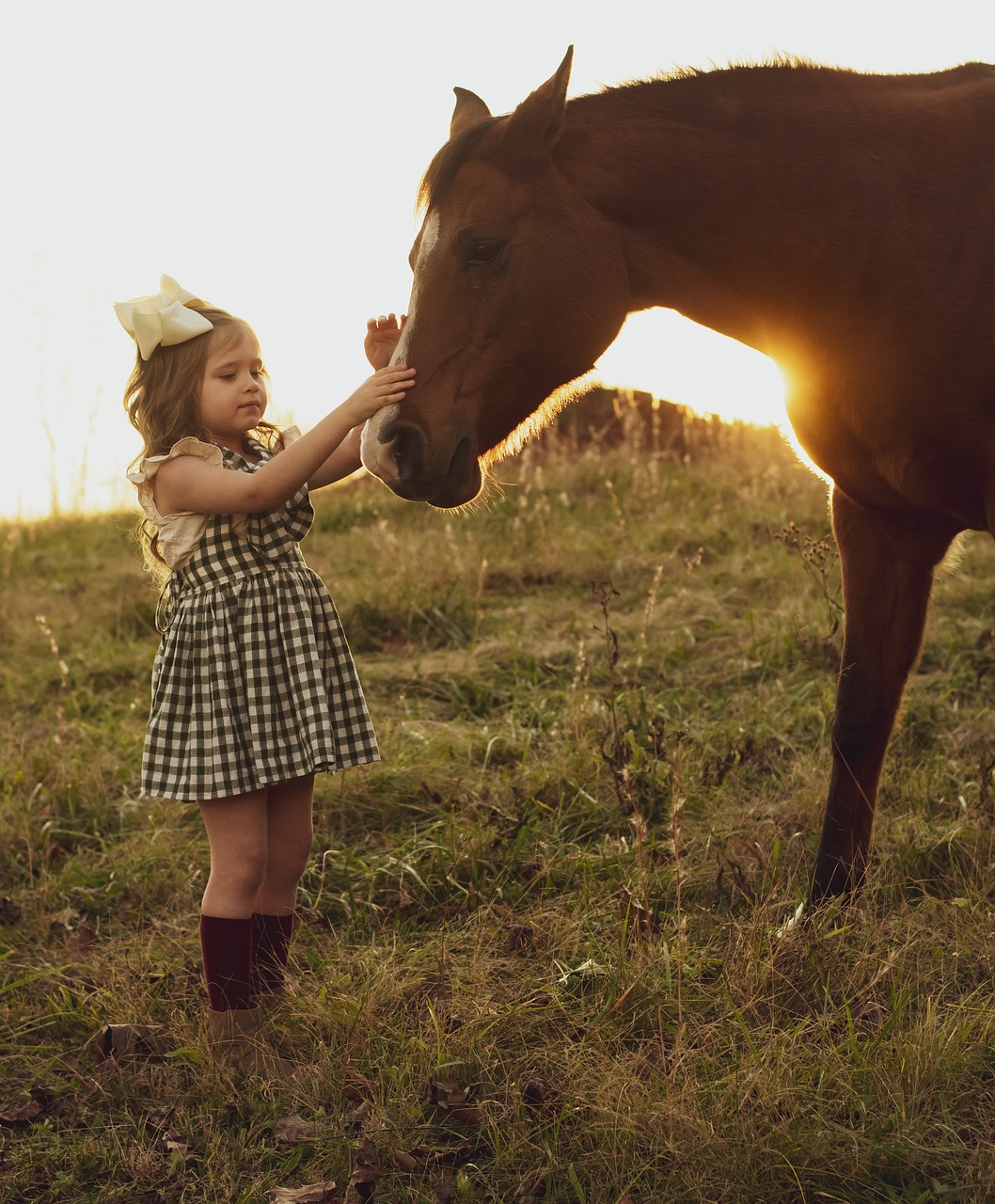 A girl petting the nose of a horse while the sun sets behind them.