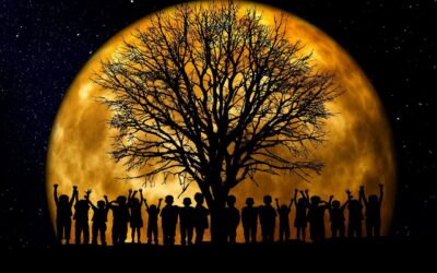 Story Time: M is for Moon