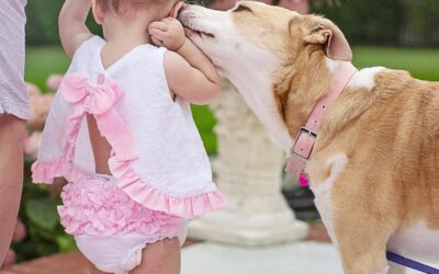 JANUARY Book Babies + Toddlers: Dogs & Puppies